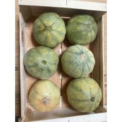 Melon (pièce)