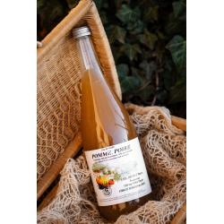 Jus Pomme Poire 1l