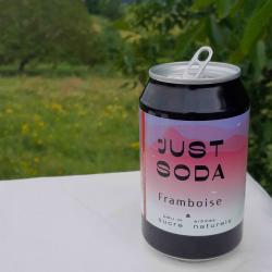 Soda St Just - Framboise