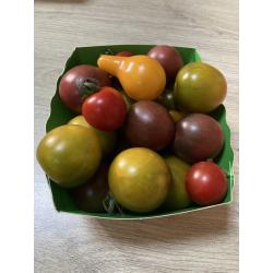 tomates cerises - petite barquette