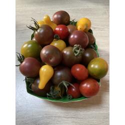 tomates cerises - grande barquette